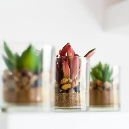 Apartmán Loft Malagasol Màlaga